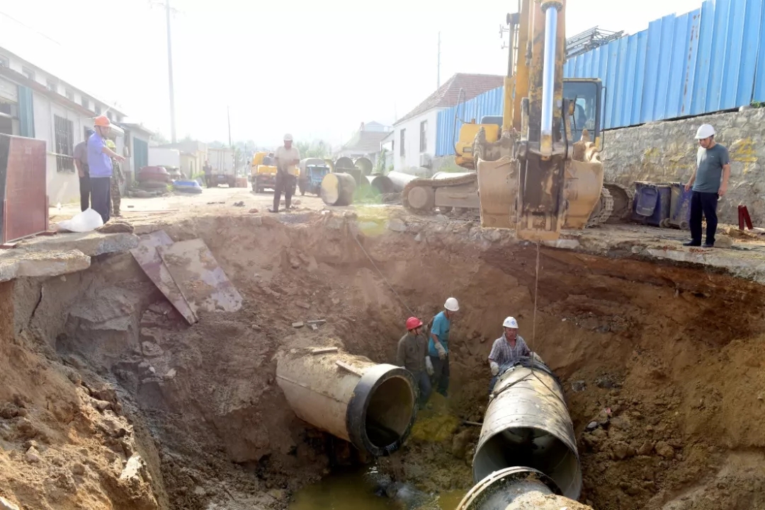 1656308225549089885.jpg 8-210S1162346117.jpg