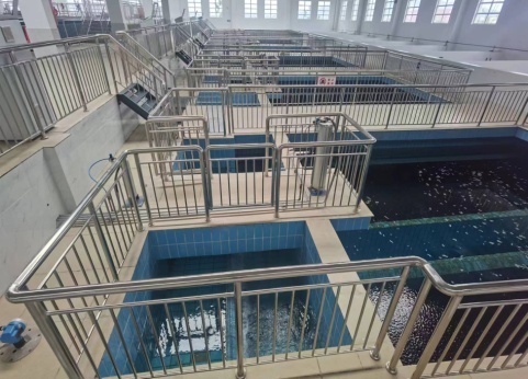 1671438525301090041.jpg a_742260645776322560.jpg